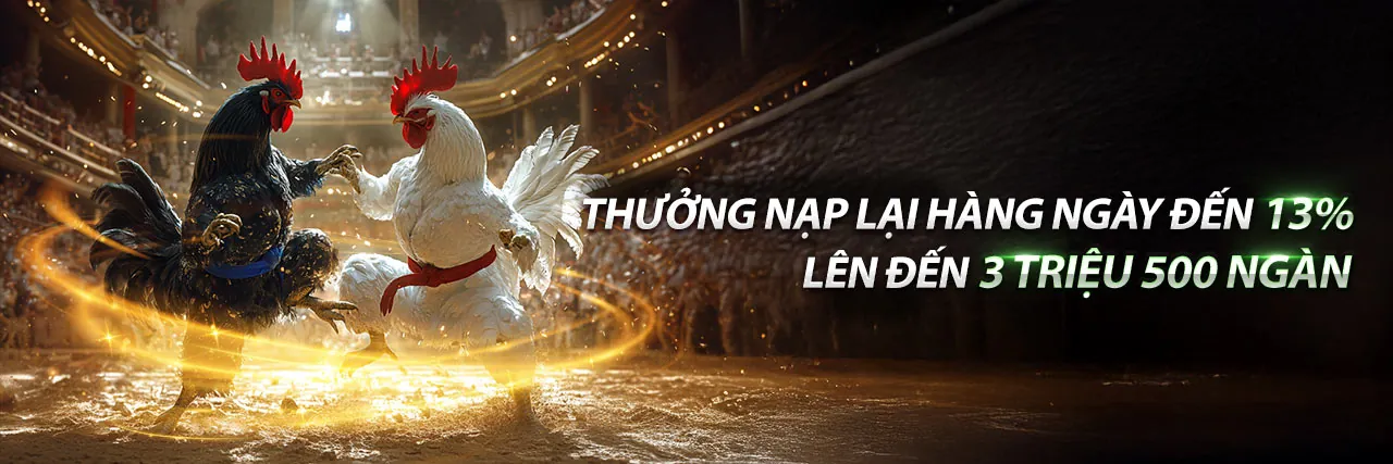 Đá Gà Mộc Bài Trực Tiếp Hấp Dẫn